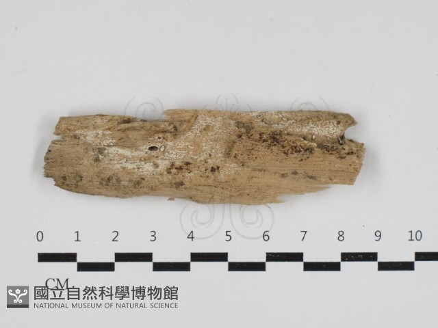 登錄號:F0033174藏品圖，第1張