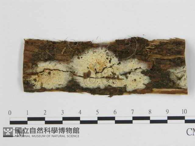 登錄號:F0001074藏品圖，第1張