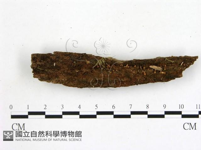 登錄號:F0004074藏品圖，第1張