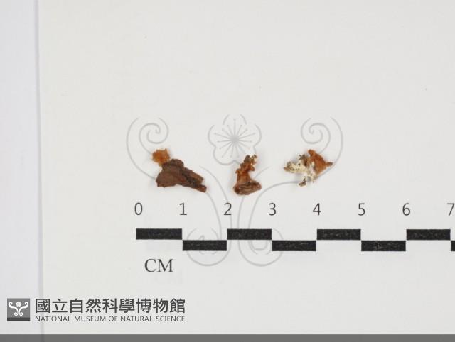 登錄號:F0034074藏品圖，第1張