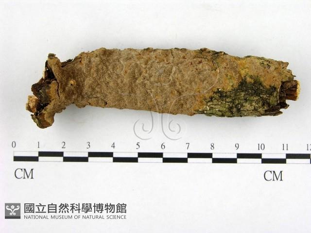 登錄號:F0005074藏品圖，第1張