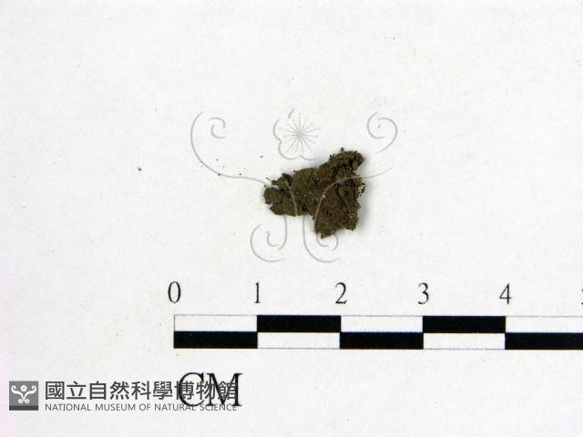 登錄號:F0003074藏品圖，第1張