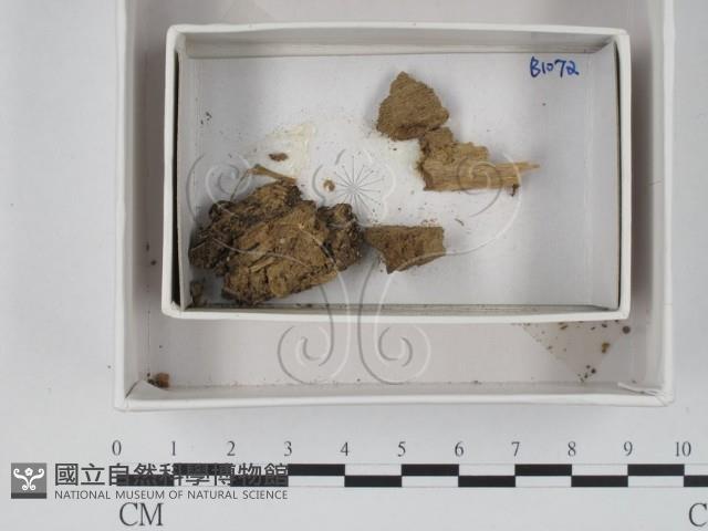 登錄號:F0018374藏品圖，第1張