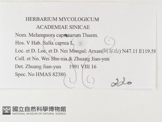 登錄號:F0026374藏品圖，第3張