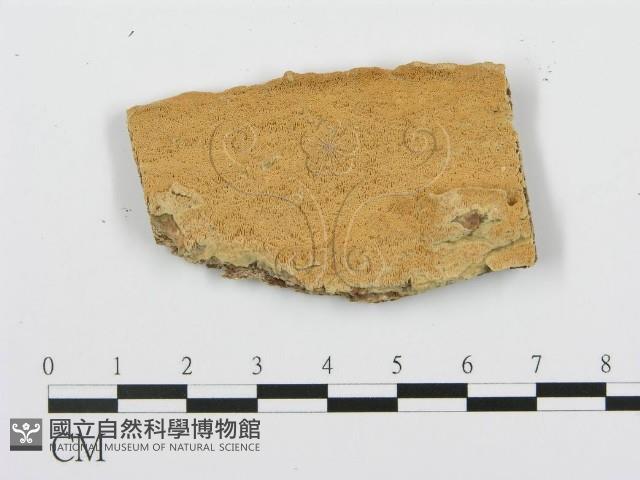 登錄號:F0006374藏品圖，第1張