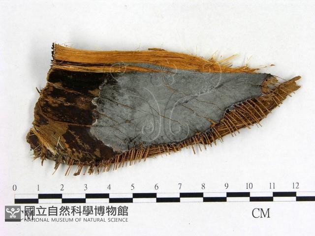 登錄號:F0021374藏品圖，第1張
