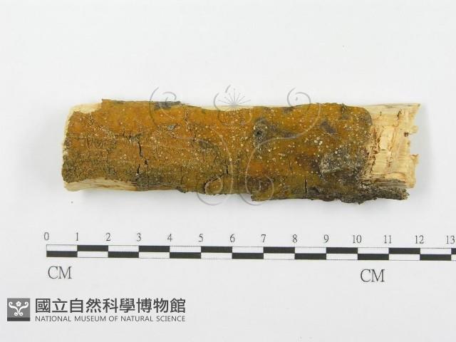 登錄號:F0001374藏品圖，第1張
