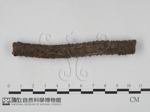 登錄號:F0011374藏品圖，第1張