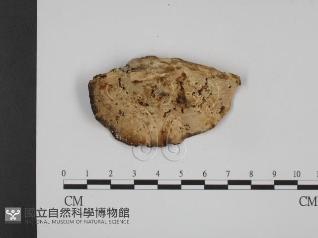 登錄號:F0001262藏品圖，第1張