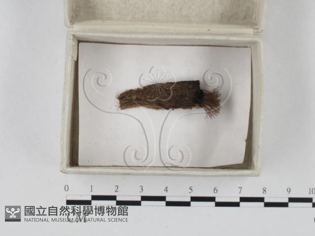 登錄號:F0023262藏品圖，第1張