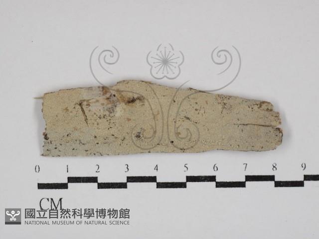 登錄號:F0030862藏品圖，第1張