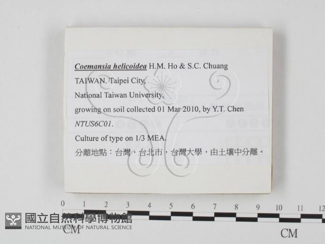 登錄號:F0025862藏品圖，第1張