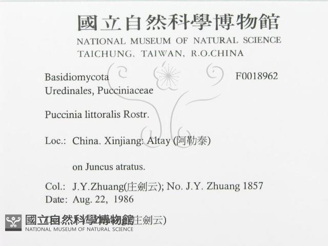登錄號:F0018962藏品圖，第3張