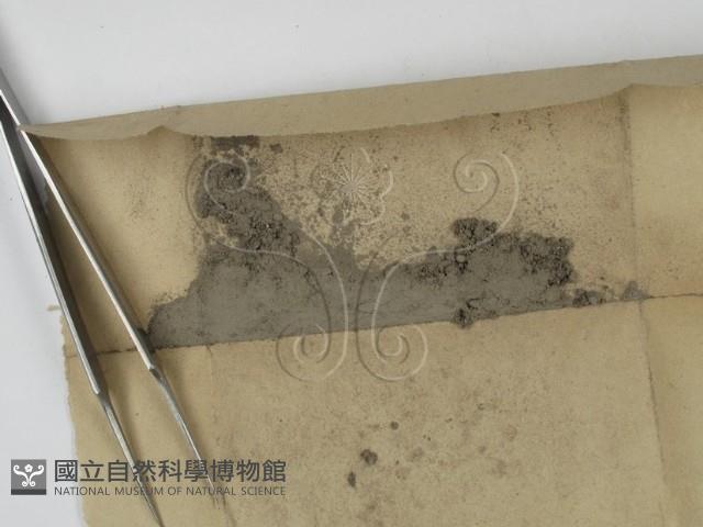 登錄號:F0011962藏品圖，第1張