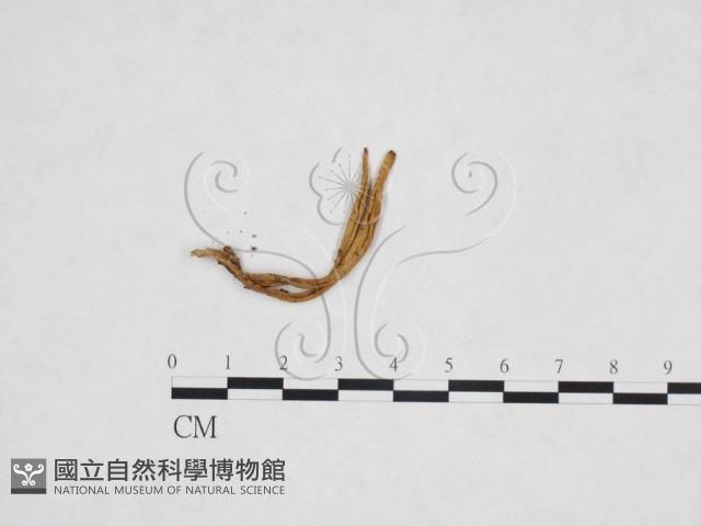 登錄號:F0025962藏品圖，第1張