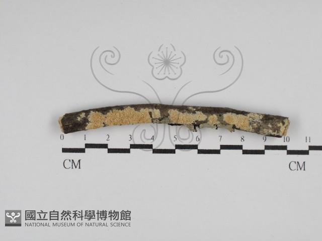 登錄號:F0029962藏品圖，第1張