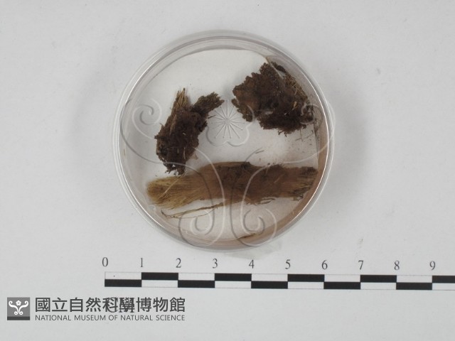 登錄號:F0009962藏品圖，第1張