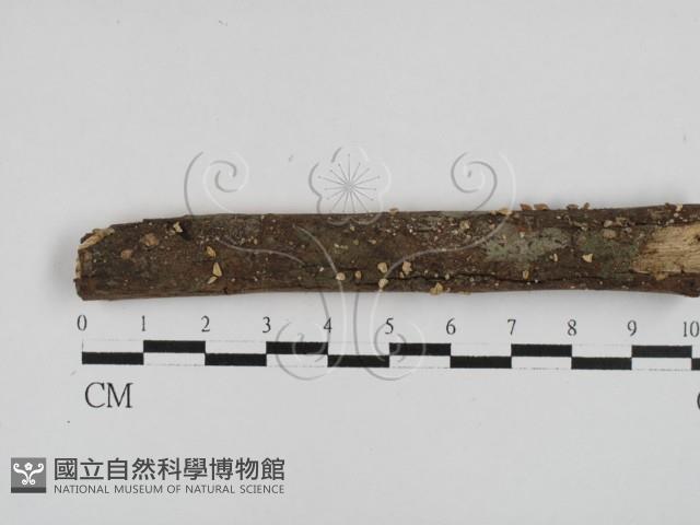 登錄號:F0028662藏品圖，第1張
