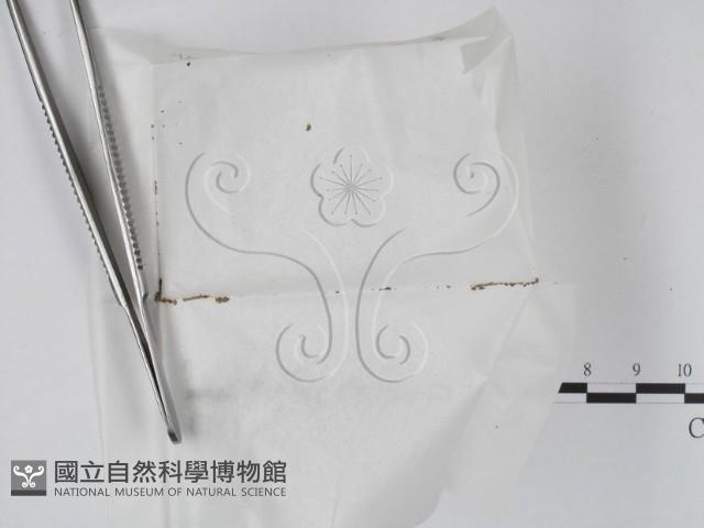 登錄號:F0000662藏品圖，第1張