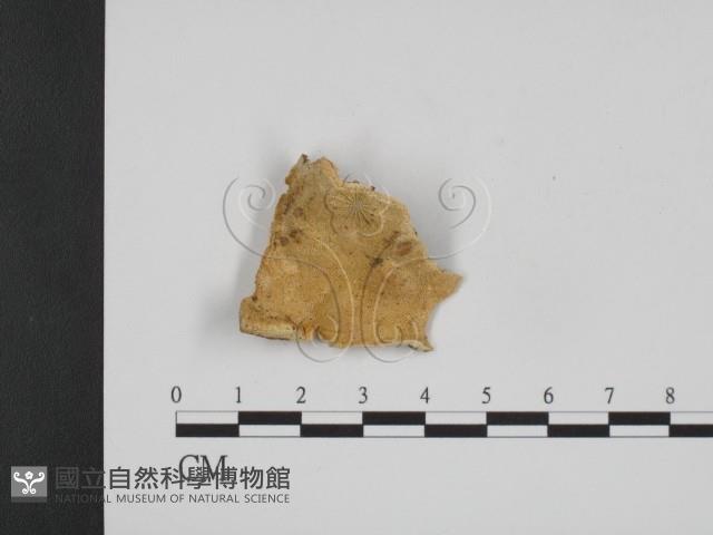 登錄號:F0006662藏品圖，第1張