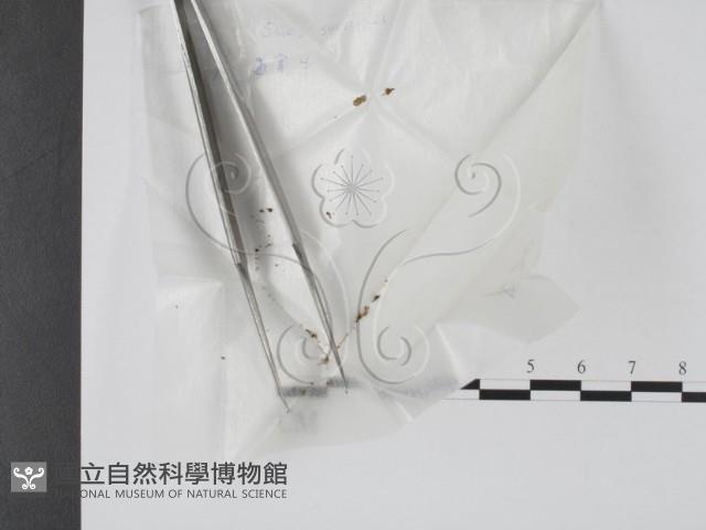 登錄號:F0001662藏品圖，第1張