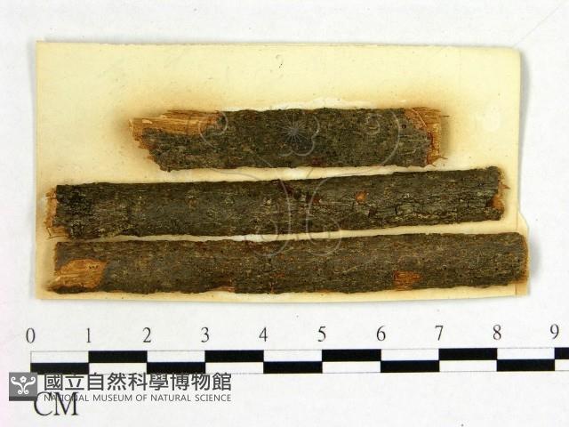 登錄號:F0011662藏品圖，第1張