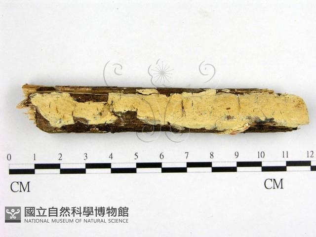 登錄號:F0007662藏品圖，第1張