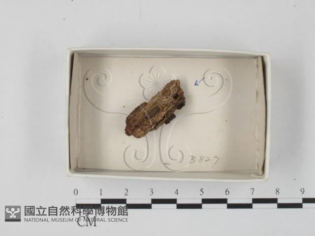 登錄號:F0018462藏品圖，第1張