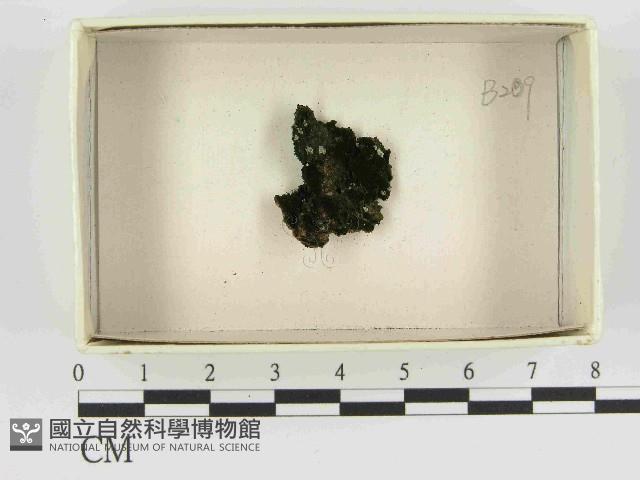 登錄號:F0021462藏品圖，第1張