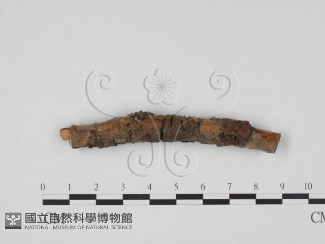 登錄號:F0011462藏品圖，第1張
