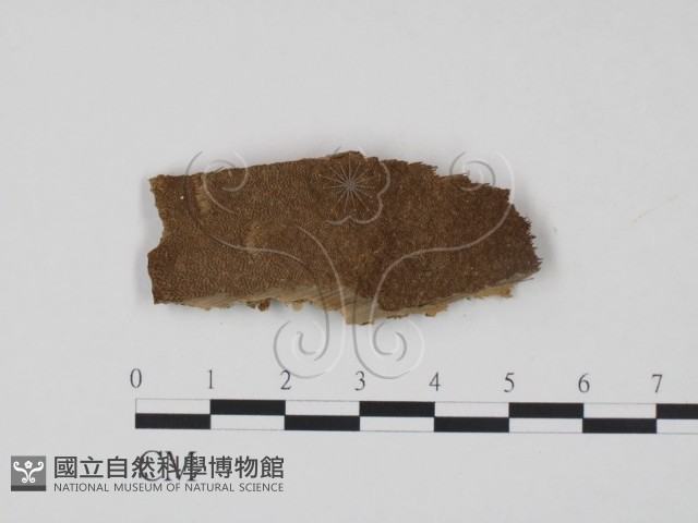 登錄號:F0006762藏品圖，第1張