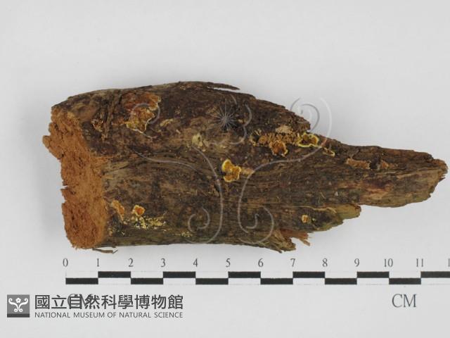 登錄號:F0027762藏品圖，第1張