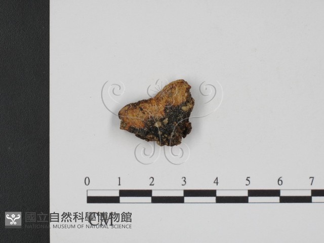 登錄號:F0007762藏品圖，第1張