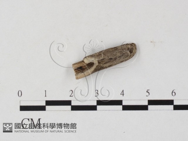 登錄號:F0025762藏品圖，第1張