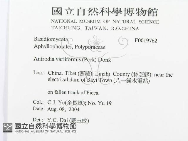 登錄號:F0019762藏品圖，第3張