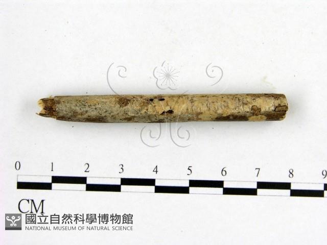 登錄號:F0013762藏品圖，第1張