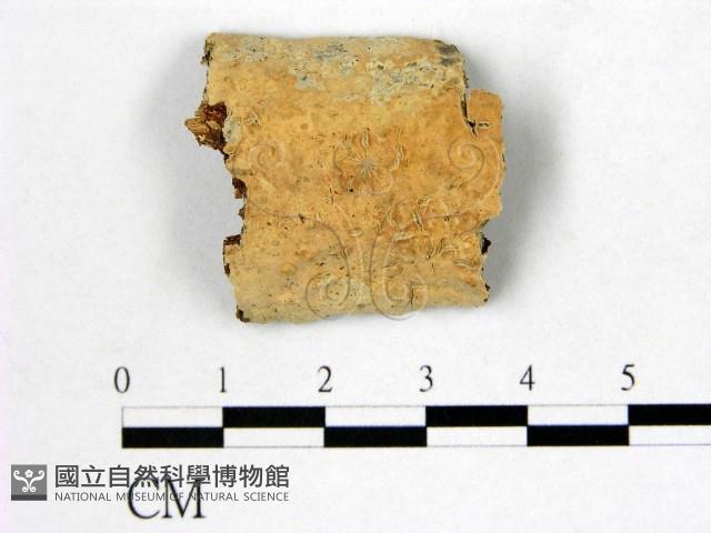 登錄號:F0010562藏品圖，第1張