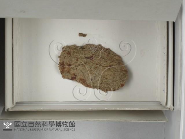登錄號:F0018162藏品圖，第1張