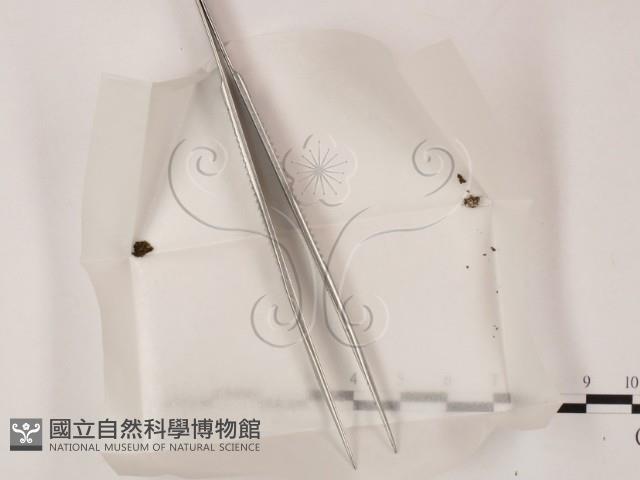登錄號:F0000162藏品圖，第1張