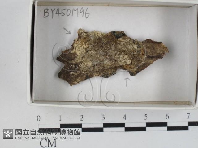 登錄號:F0021162藏品圖，第1張
