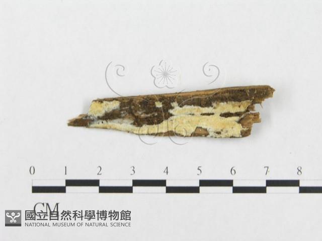 登錄號:F0014162藏品圖，第1張