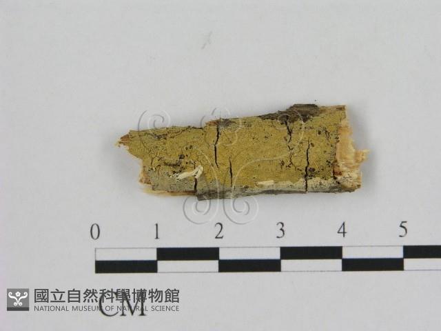 登錄號:F0009162藏品圖，第1張