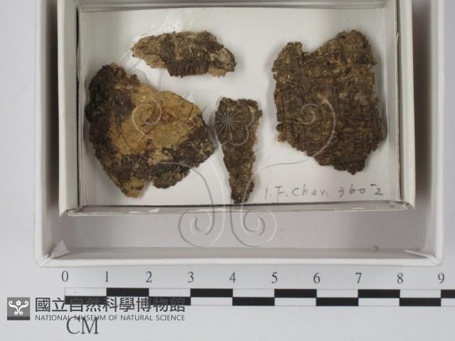 登錄號:F0018062藏品圖，第1張