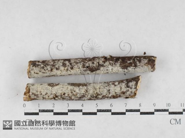 登錄號:F0027062藏品圖，第1張