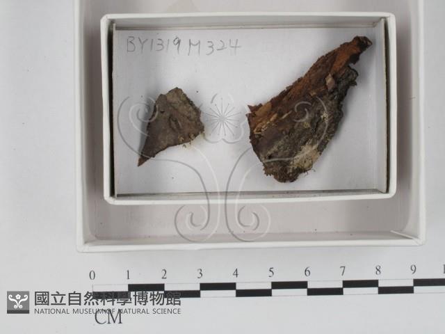 登錄號:F0018362藏品圖，第1張