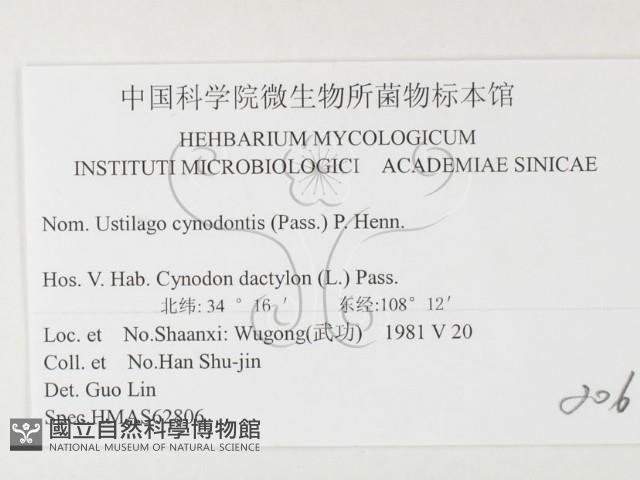 登錄號:F0026362藏品圖，第3張