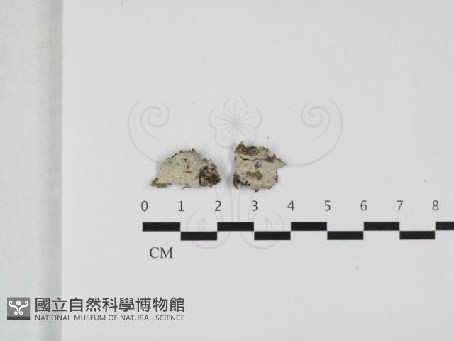 登錄號:F0032362藏品圖，第1張