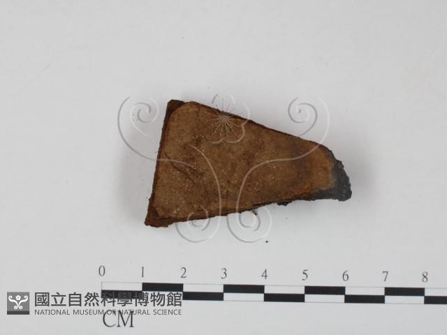 登錄號:F0006222藏品圖，第1張