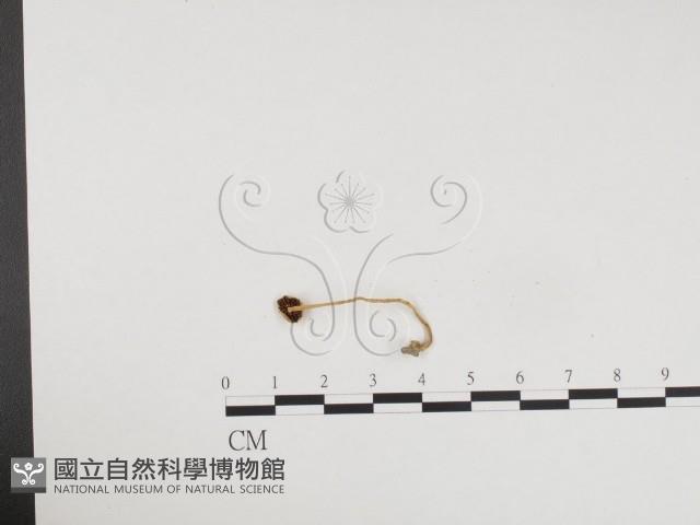 登錄號:F0024222藏品圖，第1張