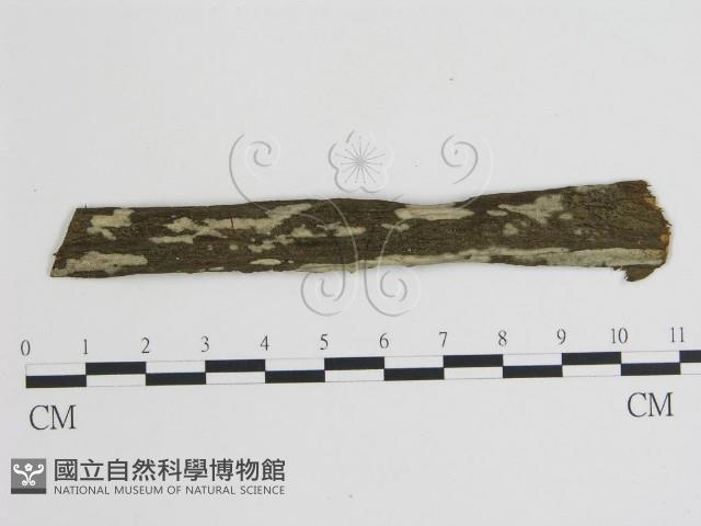 登錄號:F0004222藏品圖，第1張